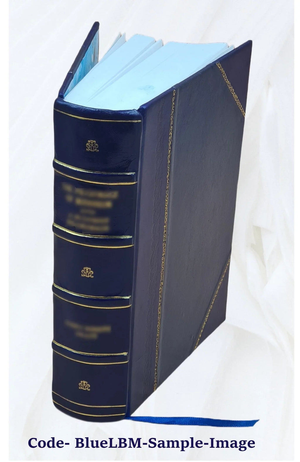 History of Newton, Massachusetts : town and city, from its earliest settlement to the present time, 1630-1880 1880 [Leather Bound]