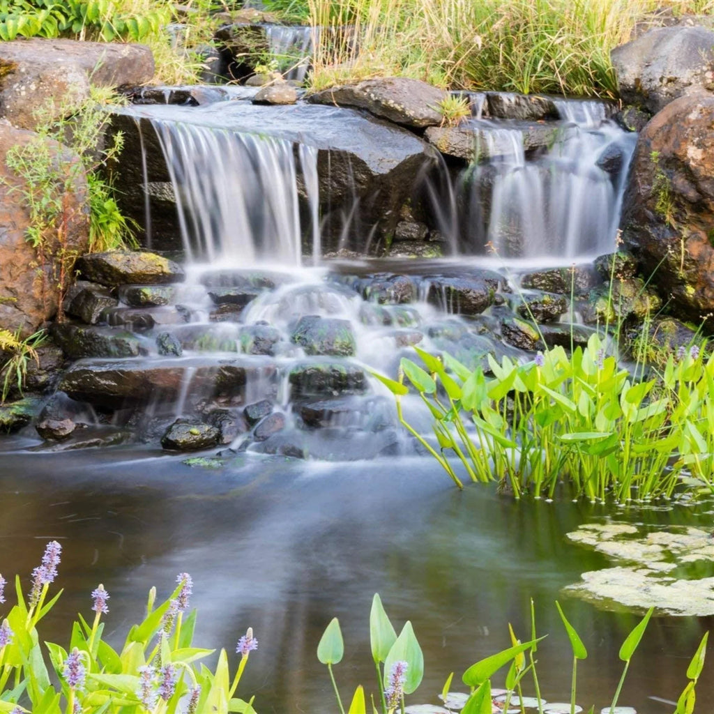 HALF OFF PONDS Piranha Series 5,500 GPH Direct Drive Submersible Pump for aqua Gardens, Ponds and Waterfalls - PN-5500