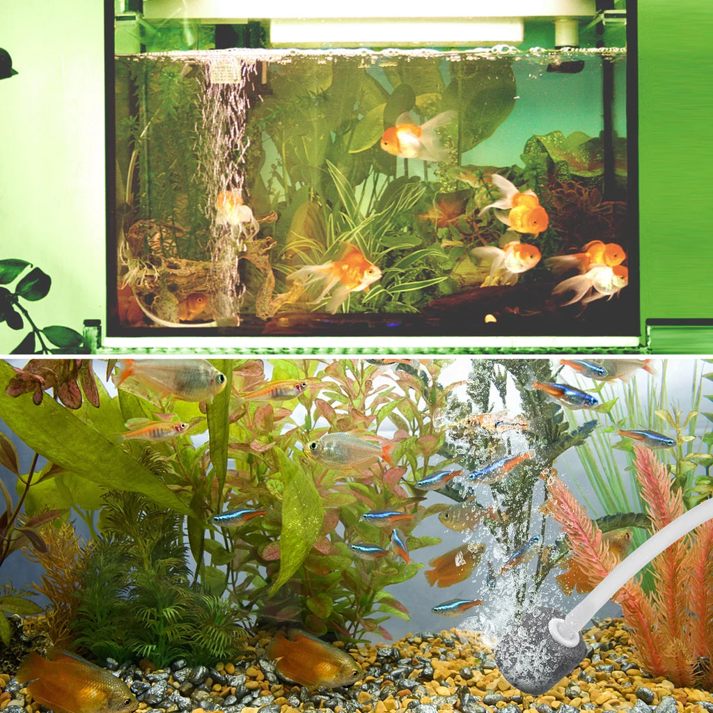 moobody 5.5V 1.5W Solar Air Pump Fish Tank Oxygenator with Aquarium Pipe & Air Bubble Stone Pond Oxygen Pump Aerator Rechargeable for Fishing Fish Tranportation Small Ponds Pools liquid Circulation