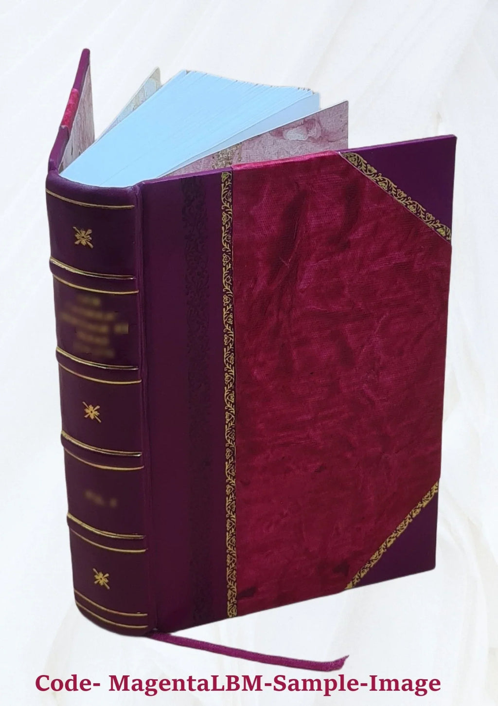 History of Newton, Massachusetts : town and city, from its earliest settlement to the present time, 1630-1880 1880 [Leather Bound]