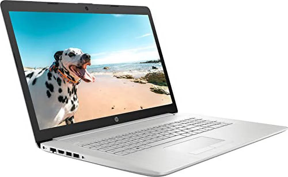 Newest  Laptop, 17.3" HD+ Non-Touch Display, 11th Gen  Core i3-1115G4 Processor, 8GB RAM, 1TB HDD, Webcam, Bluetooth, Wireless-AC, HDMI, USB-A 3.0, RJ-45, Windows 11 Home, Silver