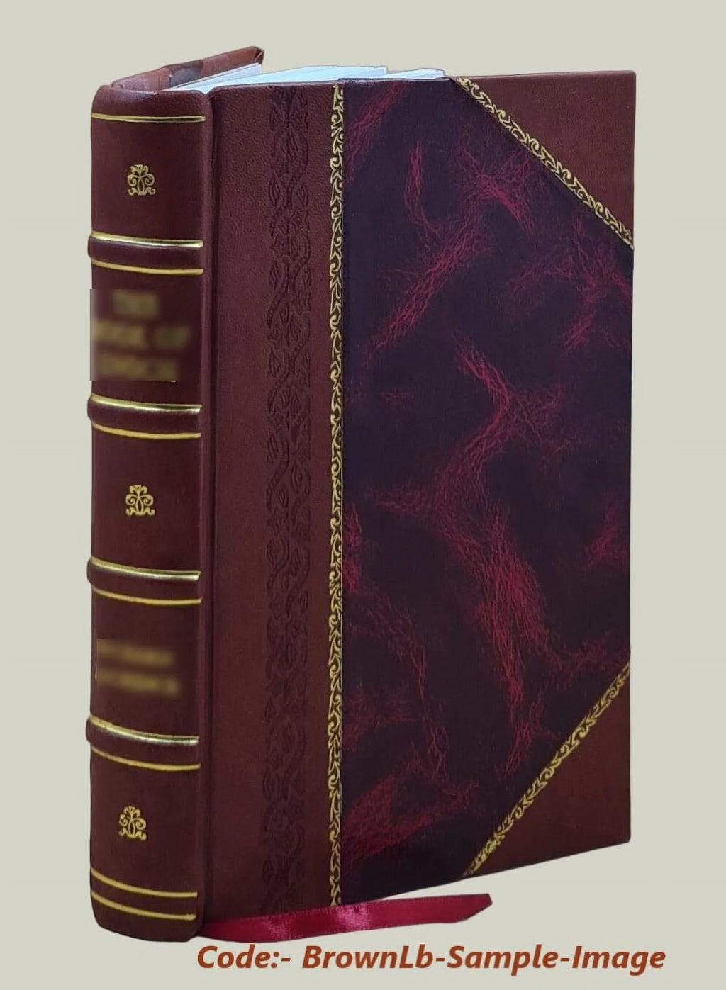 Diligentemente scritta dal clari [Leather Bound]. La guerra di Cambrai fatta a tempi nostri in Italia, tra gli illustrissimi signori vinitiani, et gl'altri principi di christianita