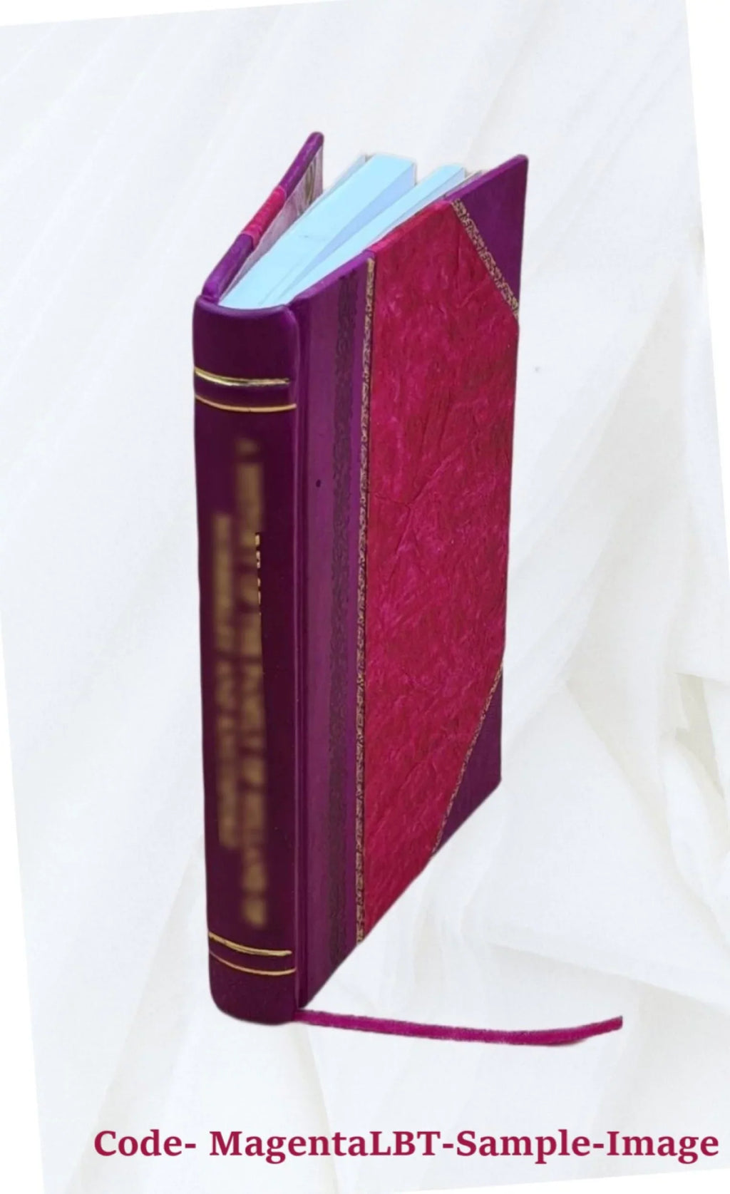 1 [Leather Bound]. Ciceronis libro I De Legg. Specimen literarium inaugurale, continens disputatiunculam de lupo, lamiis et mormone, additis observationibus ad loca nonnulla ex M.T