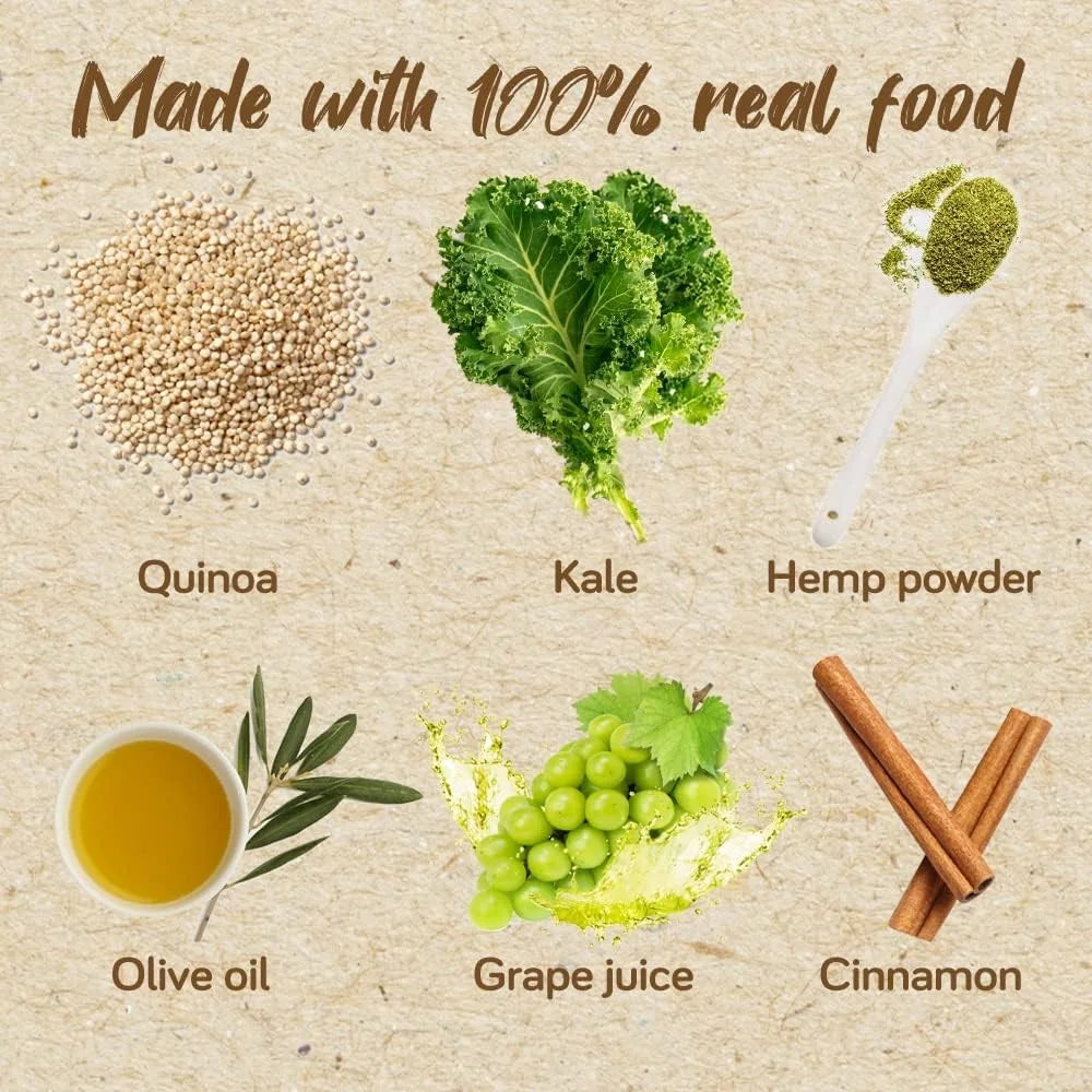 Real Food Blends - Quinoa, Kale & Hemp - Meals for Tube Fed People - 9.4 Oz Pouch (Pack of 12)