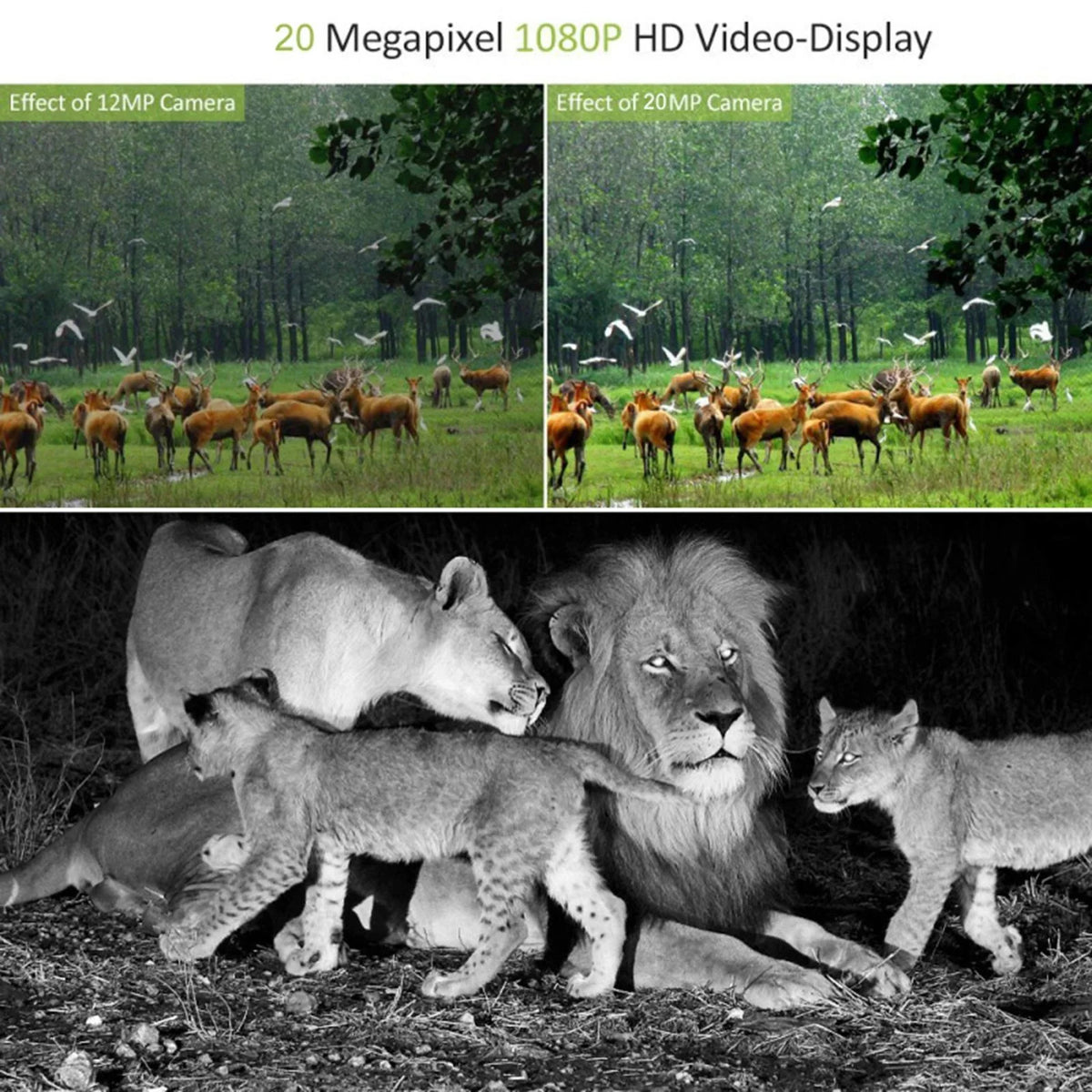 Mini Camera 16MP 1080P Game Camera moisture Wildlife Scouting Cam with 120 degree Wide Angle Lens and Night .0" LCD IR LEDs