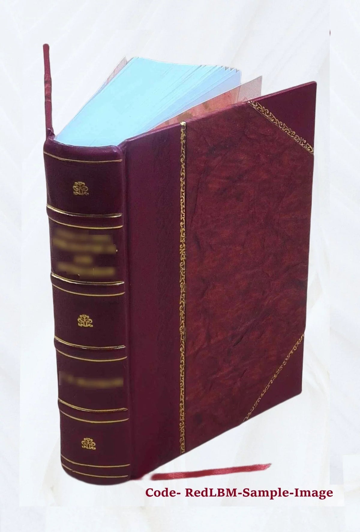 History of Newton, Massachusetts : town and city, from its earliest settlement to the present time, 1630-1880 1880 [Leather Bound]