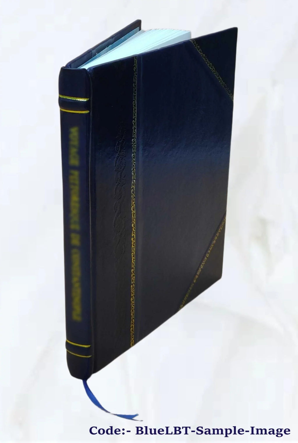 1838 [Leather Bound]. Occhiatine a Venezia / disegni ed intagli di Marco Comirato, descrizioni di F.M