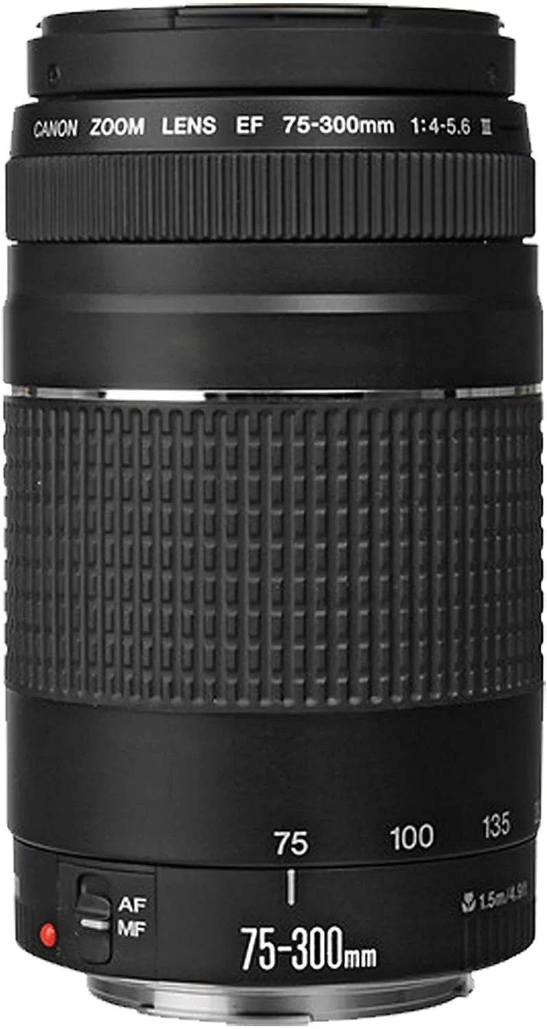 EOS R6 Mirrorless Digital Camera with RF 24-105mm f/4-7.1 STM Lens + 75-300mm F/4-5.6 III Lens + 50mm f/1.8 STM Lens + 128GB Memory + Case + Tripod + Filters 43pc Bundle