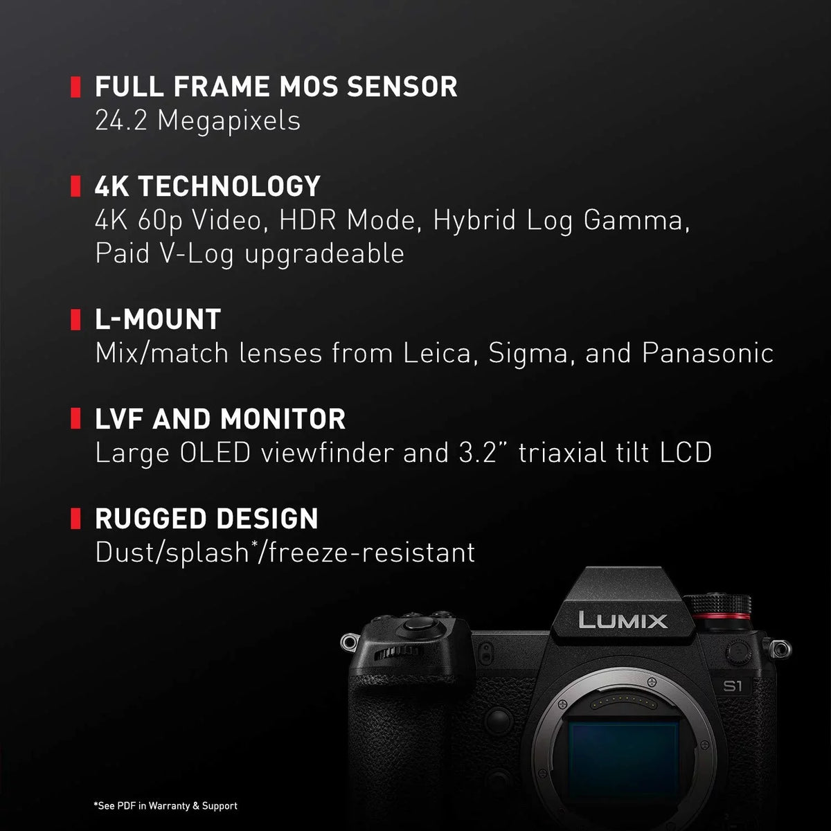 LUMIX S1 Full Frame Mirrorless Camera with 24.2MP MOS High Resolution Sensor, L-Mount Lens appropriate, 4K HDR